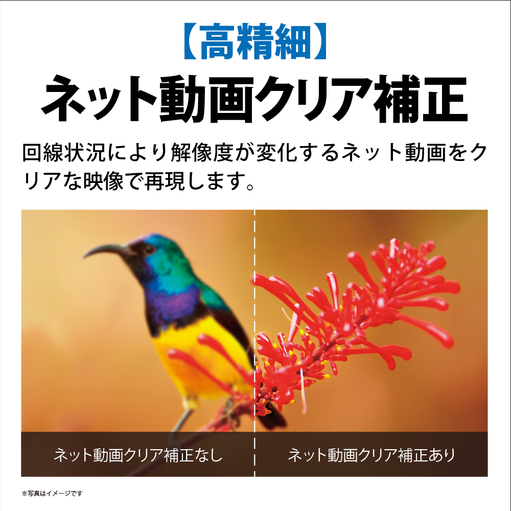 4T-C48EQ2 詳細画像7