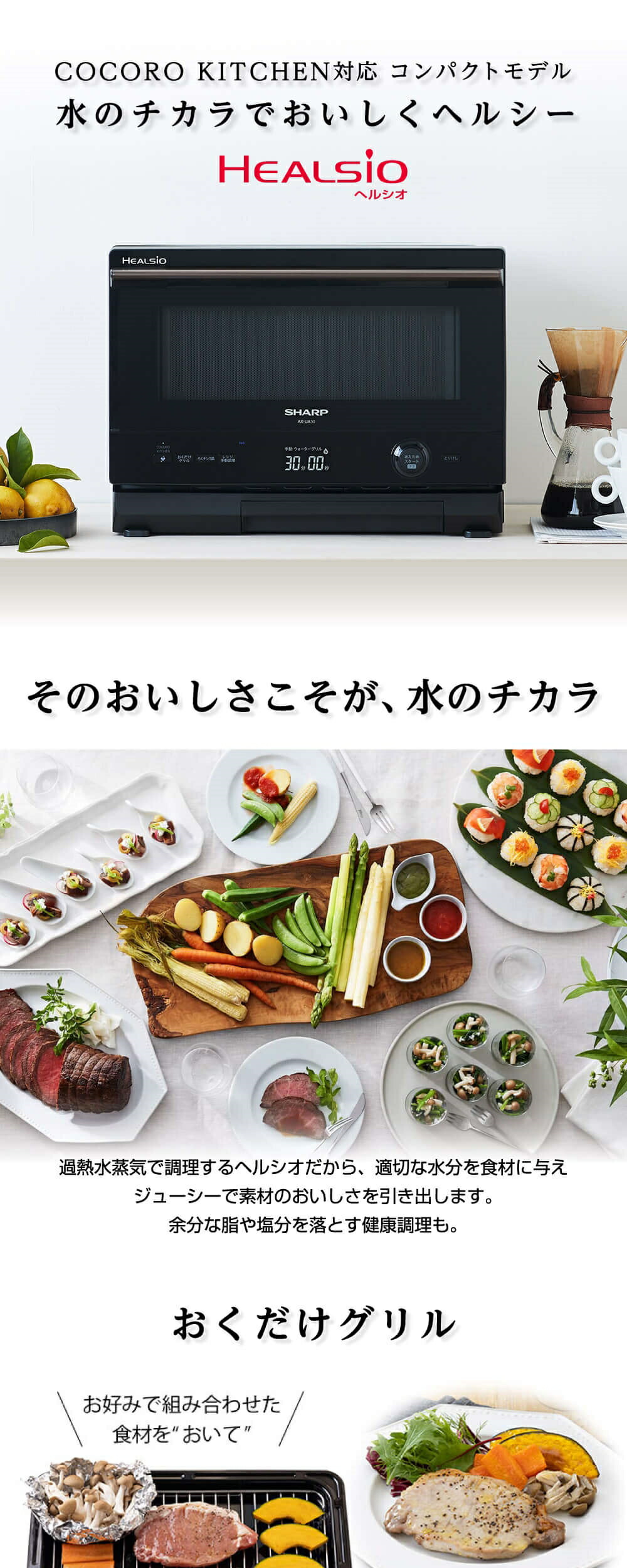 AX-UA30-B 詳細画像1