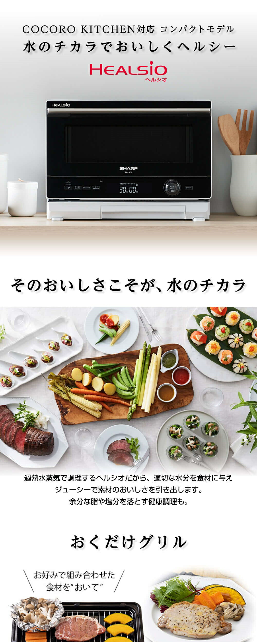 AX-UA30-W 詳細画像1