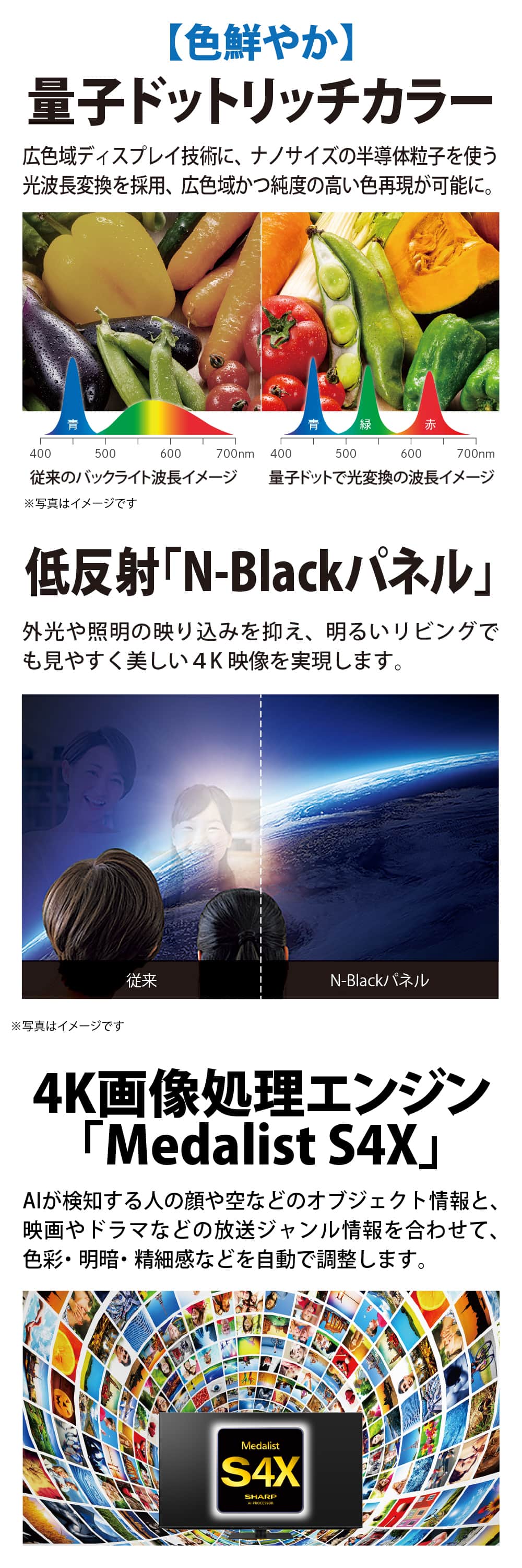 4T-C55EP1 詳細画像2
