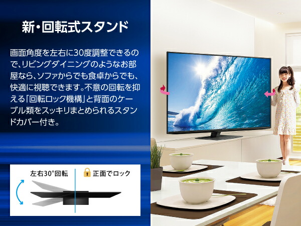 4T-C43FN2 詳細画像16