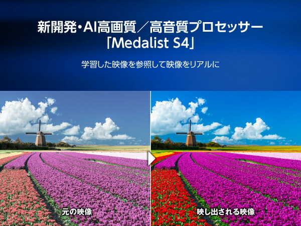 4T-C65FN1 詳細画像3