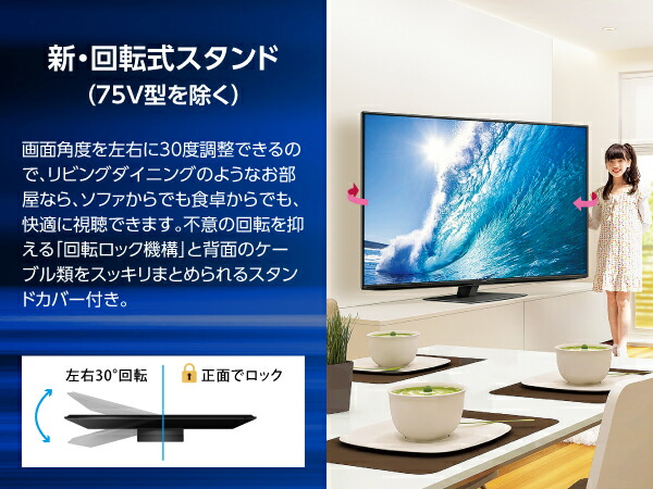 4T-C65FN1 詳細画像16