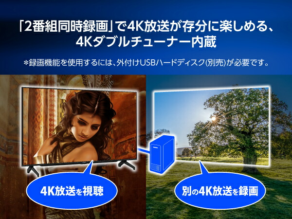 4T-C65FN1 詳細画像18