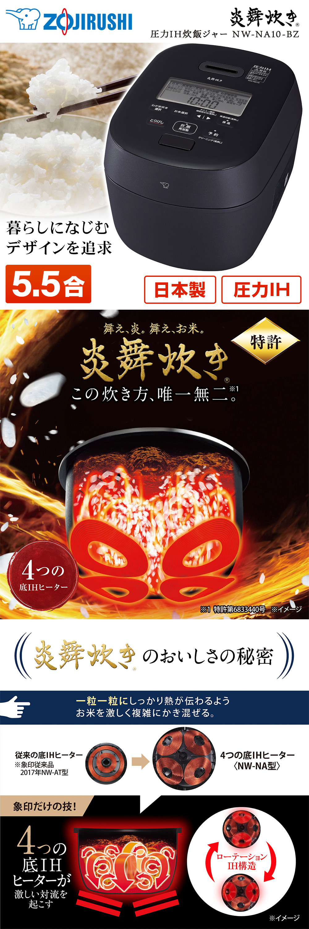 NW-NA10-BZ 詳細画像1