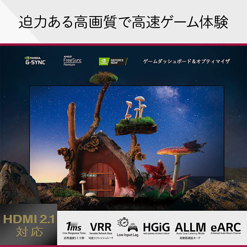 LGエレクトロニクス OLED42C2PJA [42V型 地上・BS・110度CSデジタル 4K