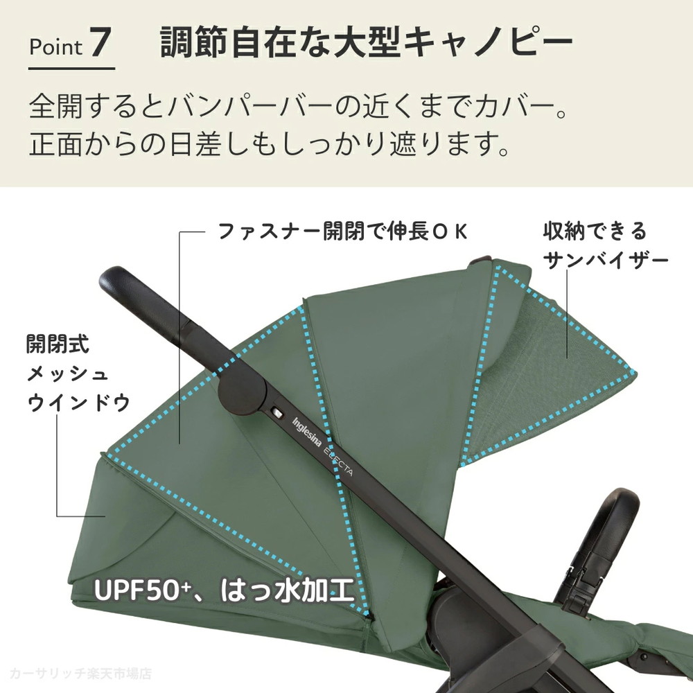 イングリッシーナ エレクタ 詳細画像10