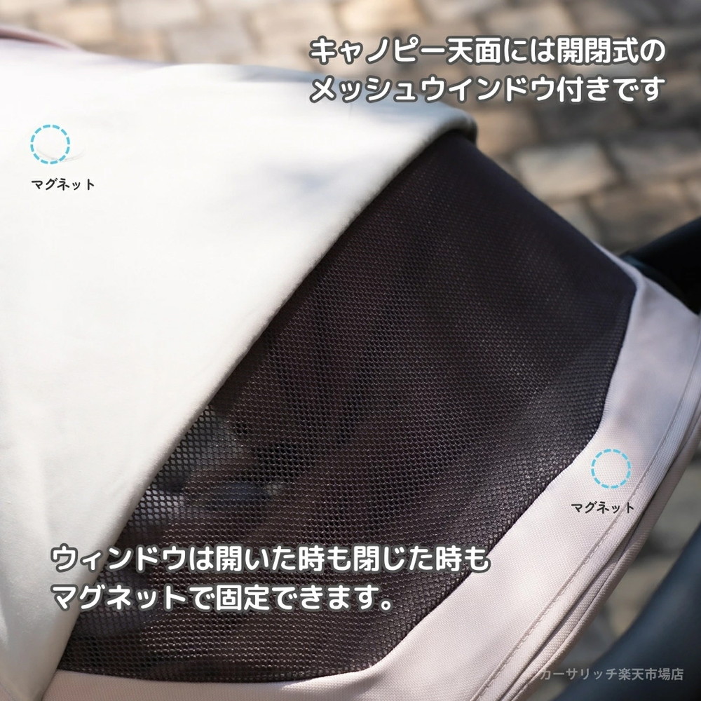 イングリッシーナ エレクタ 詳細画像11