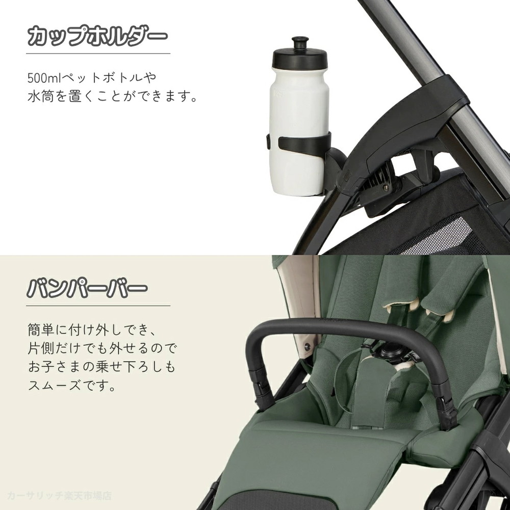 イングリッシーナ エレクタ 詳細画像13