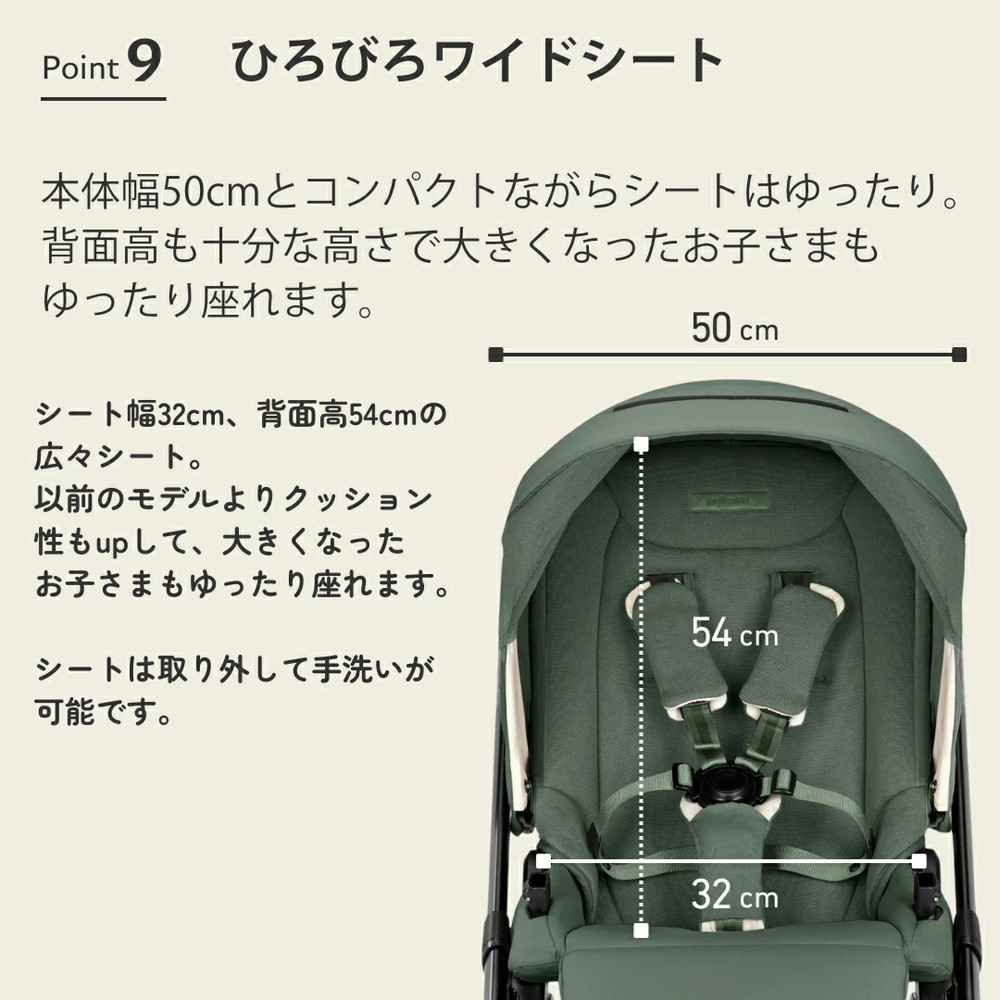 イングリッシーナ エレクタ 詳細画像14