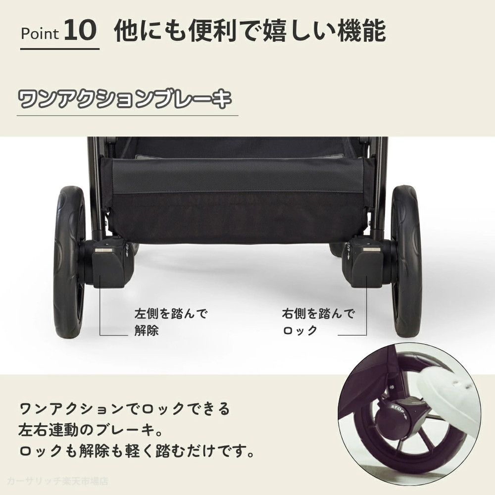 イングリッシーナ エレクタ 詳細画像15