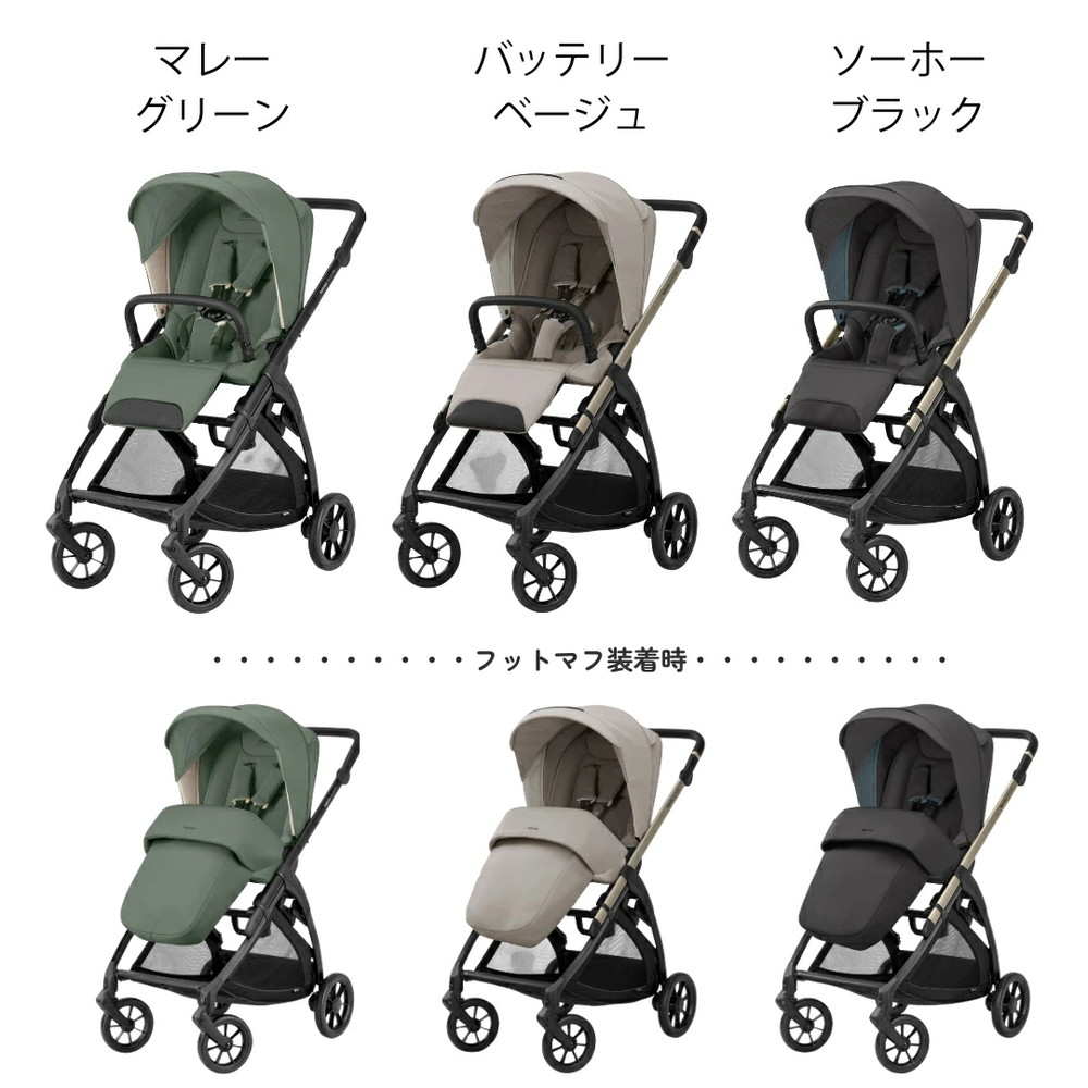 イングリッシーナ エレクタ 詳細画像16