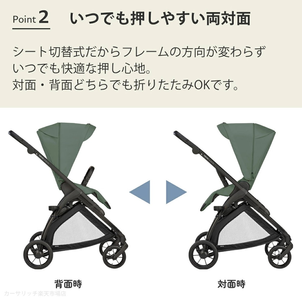 イングリッシーナ エレクタ 詳細画像3