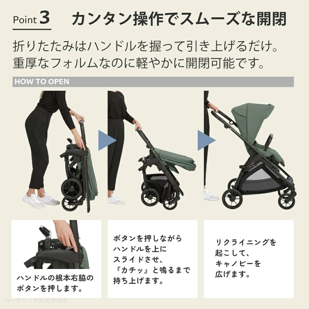 イングリッシーナ エレクタ 詳細画像4