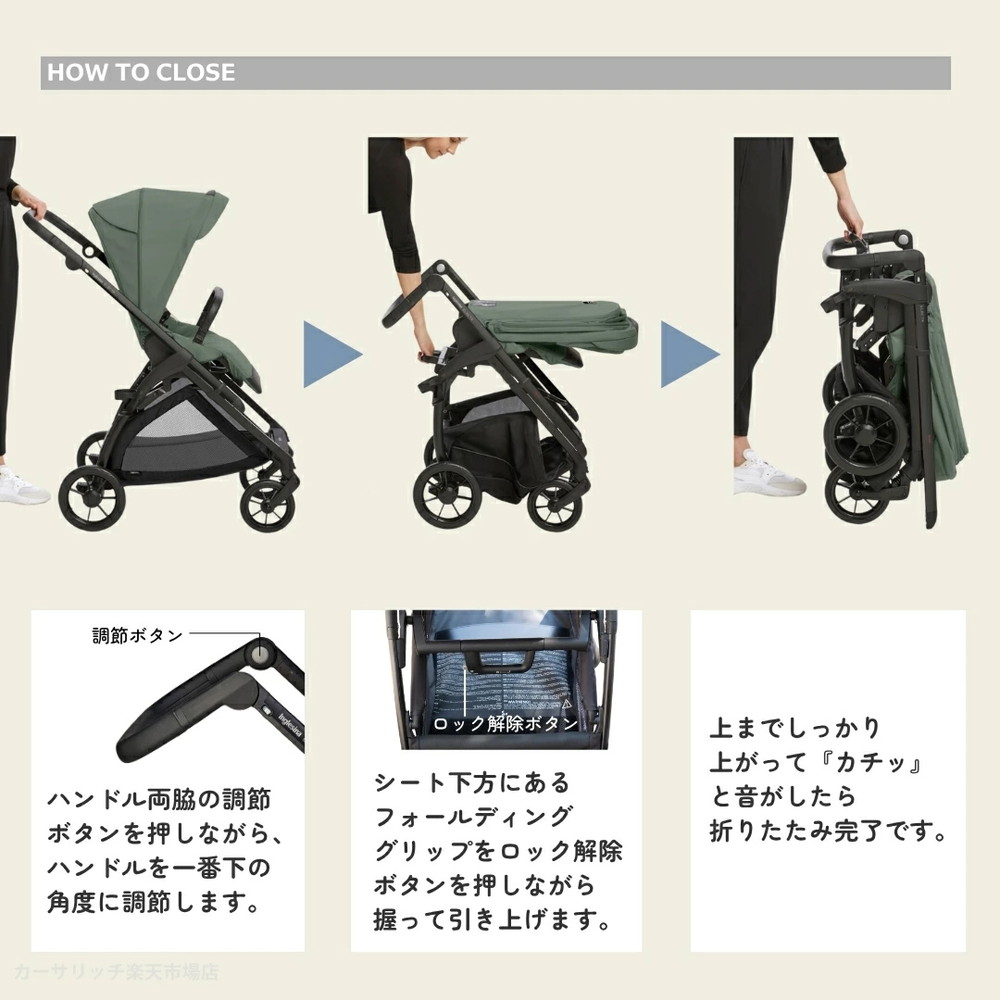 イングリッシーナ エレクタ 詳細画像5