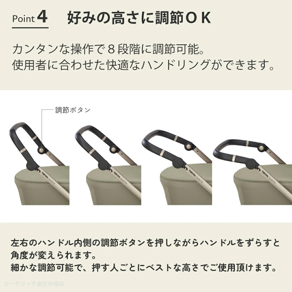 イングリッシーナ エレクタ 詳細画像7