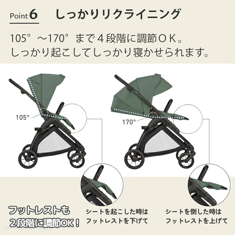 イングリッシーナ エレクタ 詳細画像9