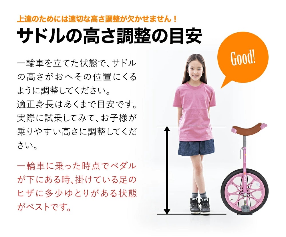 21Technology IR180 パープル FUNN [一輪車（18インチ）] | 激安の新品